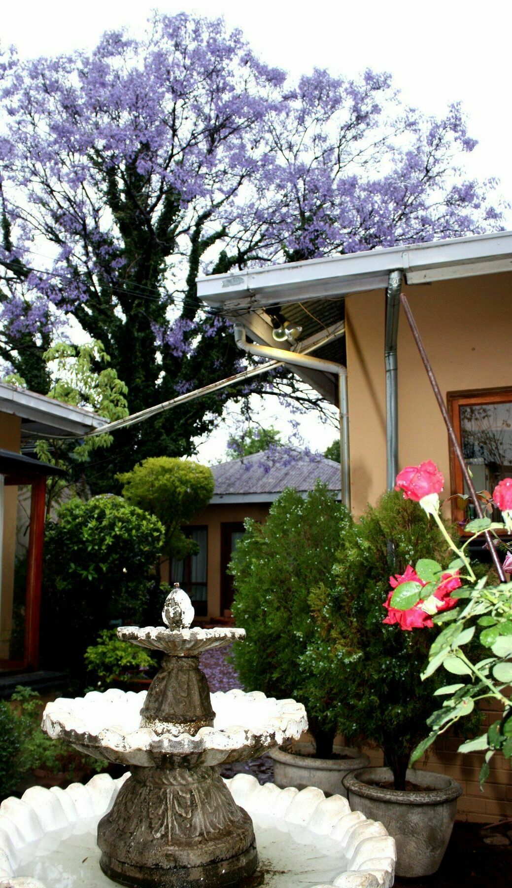 Hampton House Guest House Centurion Exterior foto